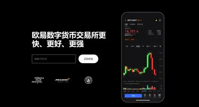 中本聪币app下载安装平台展示图